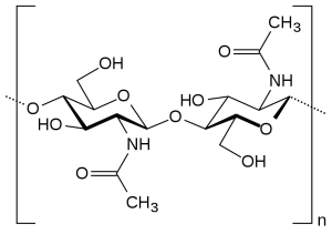 Chemical structure of the chitin molecule.